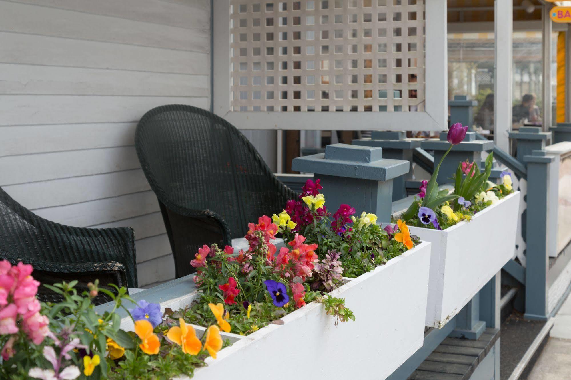 The Carroll Villa Hotel Cape May Exterior foto